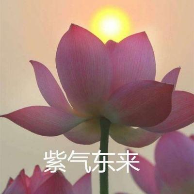 王者传奇手游郑伊健代言版下载