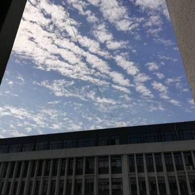 疯狂比卡丘破解版下载